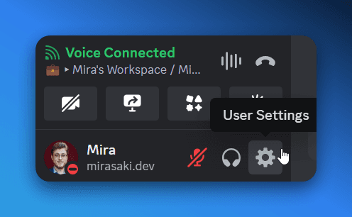 Discord Settings